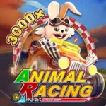 FACHAI Animal Racing