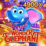 JDB Wonder Elephant